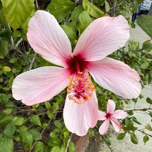 Meet your Posher, Cameron